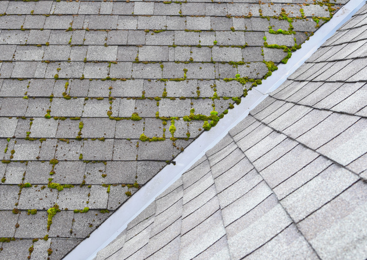 roofing invercargill roofing specialists Invercargill